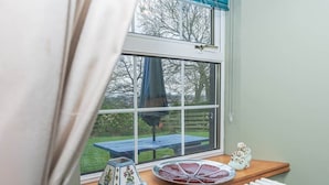 A window with a view of a garden, a table, and a radiator.