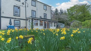 A building with multiple windows and a garden with yellow flowers.