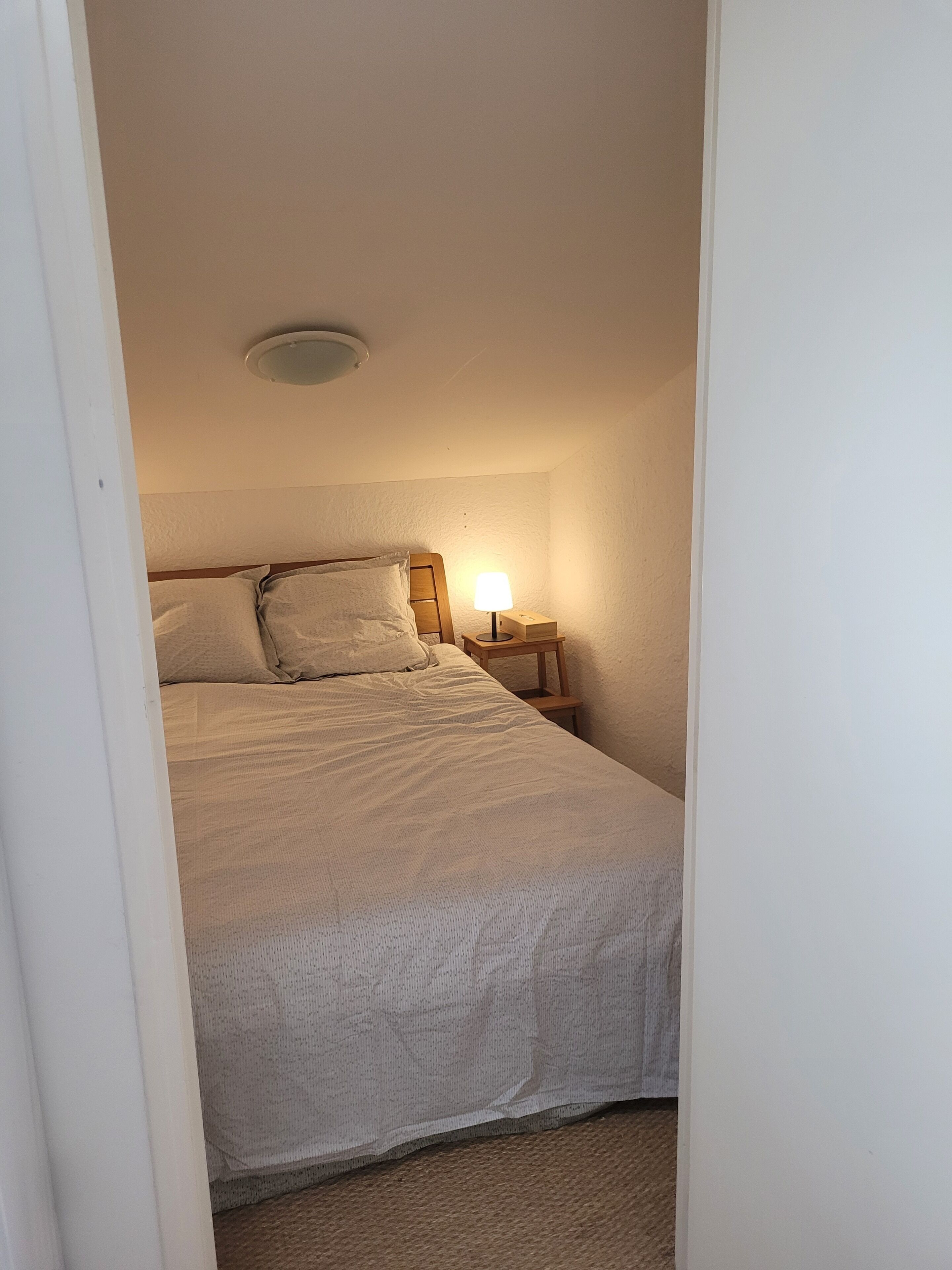 A bedroom with a bed, a bedside table with a lamp, and a ceiling light fixture.