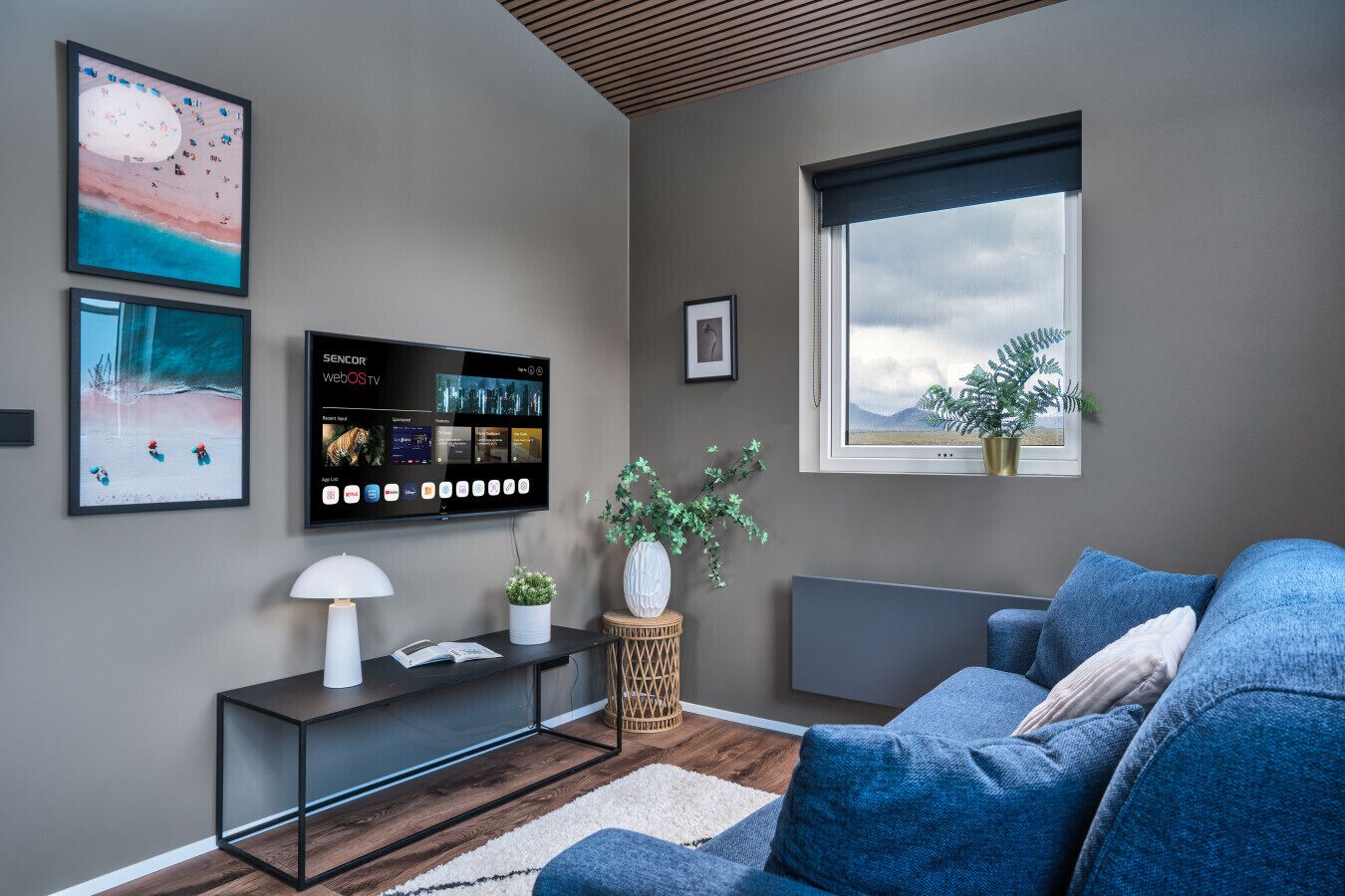 Télévision