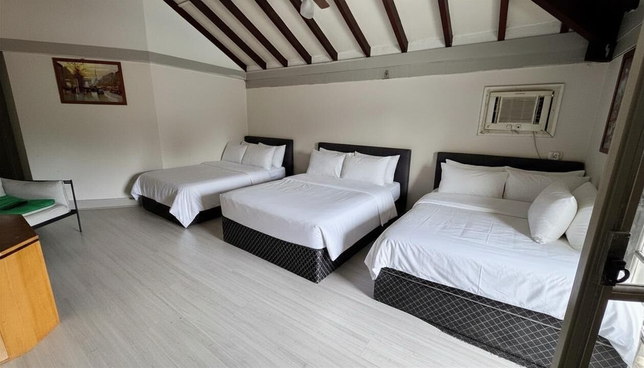 6 chambres, fer et planche à repasser, Wi-Fi, draps fournis