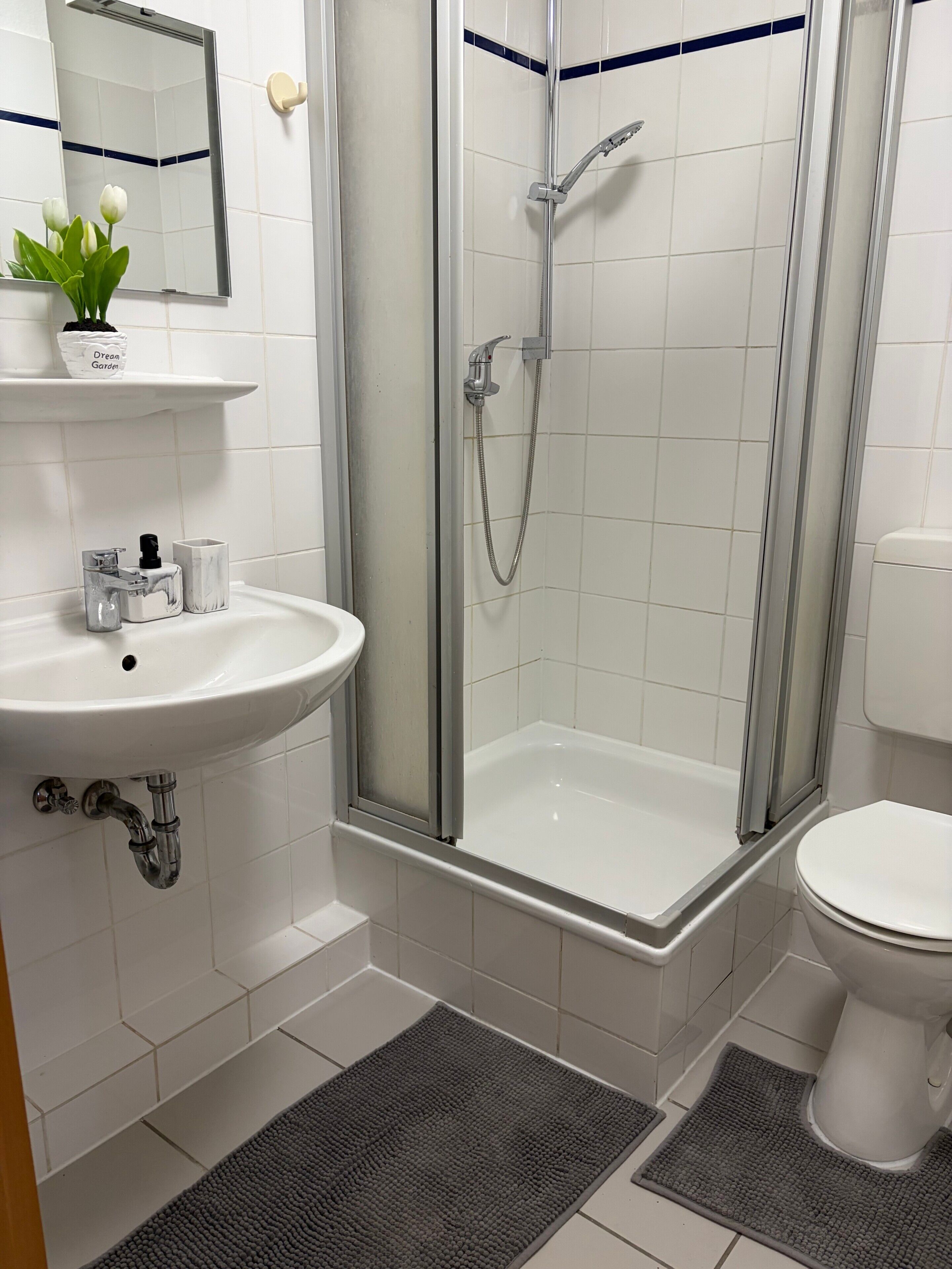 Dusche, Haartrockner, Handtücher