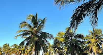 Full suite in a beachfront condominium. Swimming pools and a deserted paradise beach.