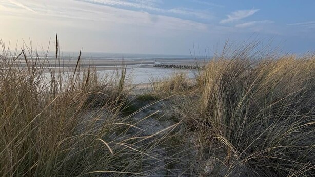Ein Strand mit Dünen und blauem Himmel.