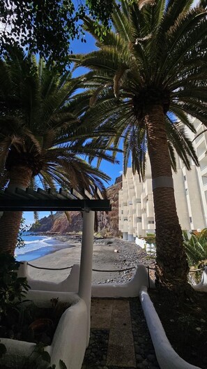 A beachside view with palm trees, a pathway, and a building with balconies. - Oceanfront Playa Las Gaviotas – Private Beach Tenerife, Ocean Front Canarias 2 (Santa Cruz de Tenerife)
