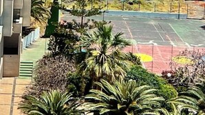 A coastal view with a building, palm trees, and a tennis court. - Oceanfront Playa Las Gaviotas – Private Beach Tenerife, Ocean Front Canarias 2 (Santa Cruz de Tenerife)