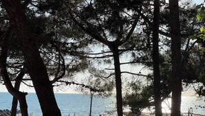 Ein Strand mit Sonnenschirmen und Liegen, Bäumen und Blick aufs Meer.
