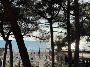 Ein Strand mit Sonnenschirmen und Liegen, Bäumen und Blick aufs Meer.