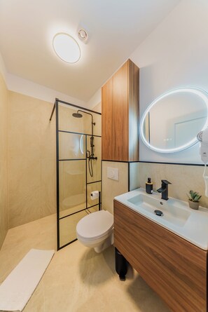 A modern bathroom with a glass shower enclosure, a white toilet, a wooden vanity with a mirror, and a small potted plant.