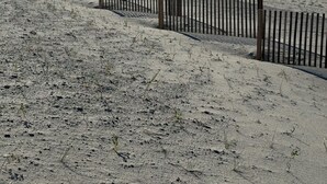A sandy beach with a wooden fence, ocean waves, and two people in the distance. - Spacious 2-bedroom condo at Sea Oats -D206 in beautiful Gulf Shores, Alabama (Gulf Shores)