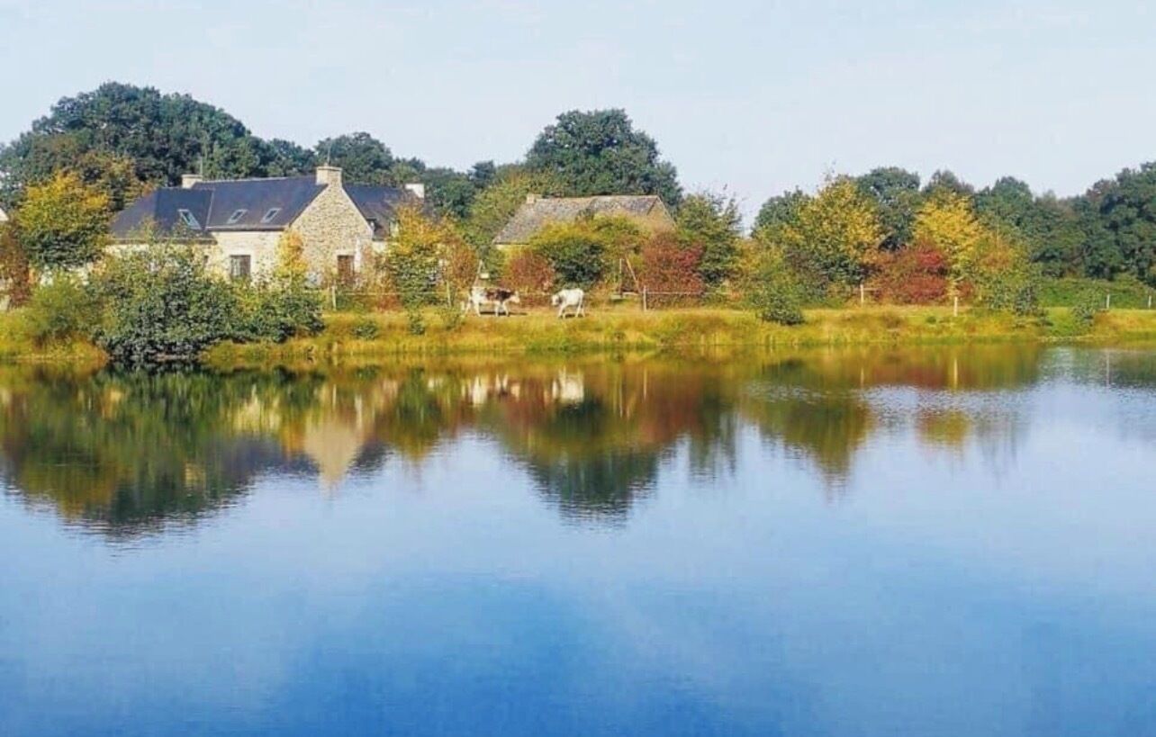 Un lac paisible, avec des maisons et des arbres en arrière-plan.