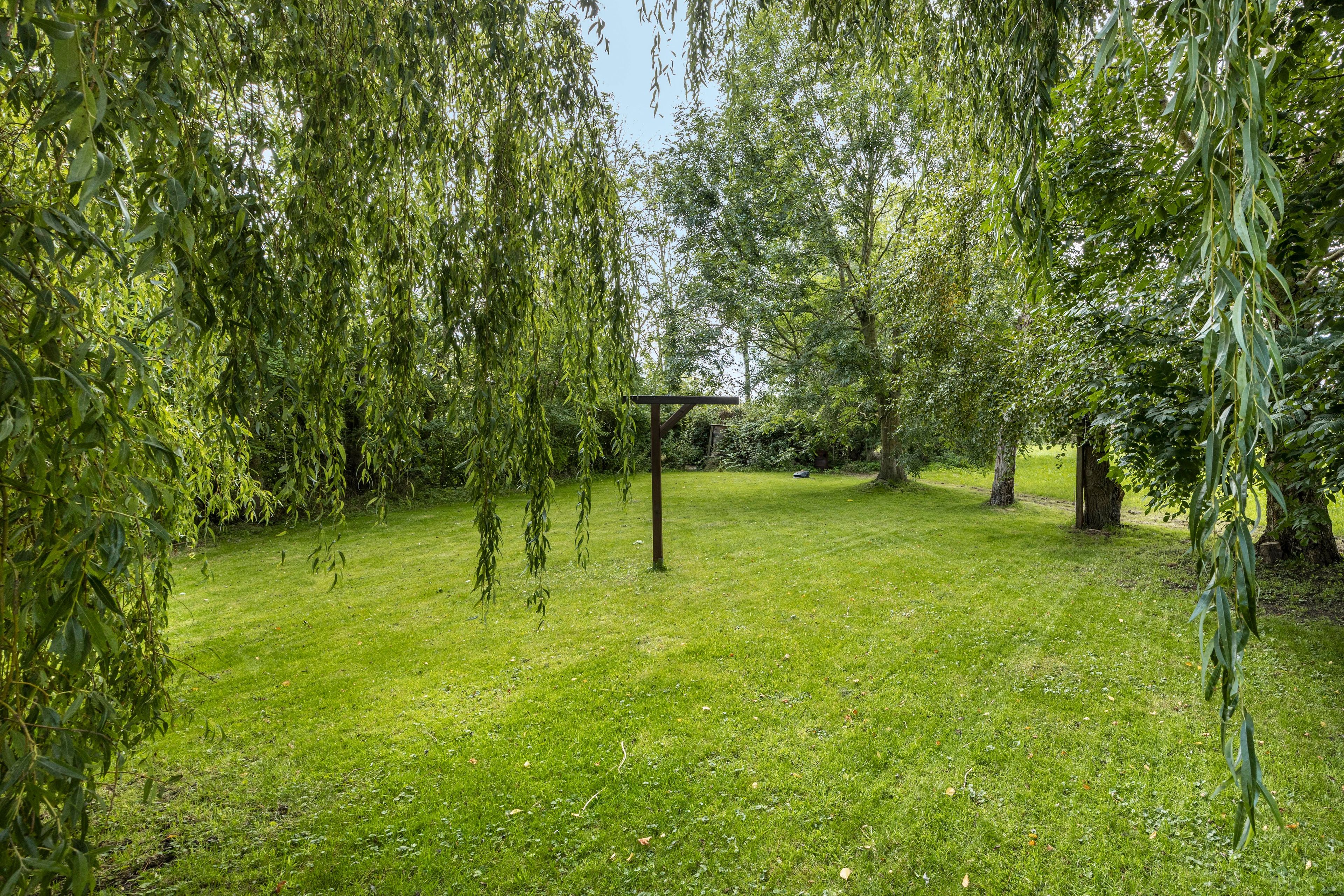 Un espace extérieur verdoyant, avec des arbres et une pergola en bois.