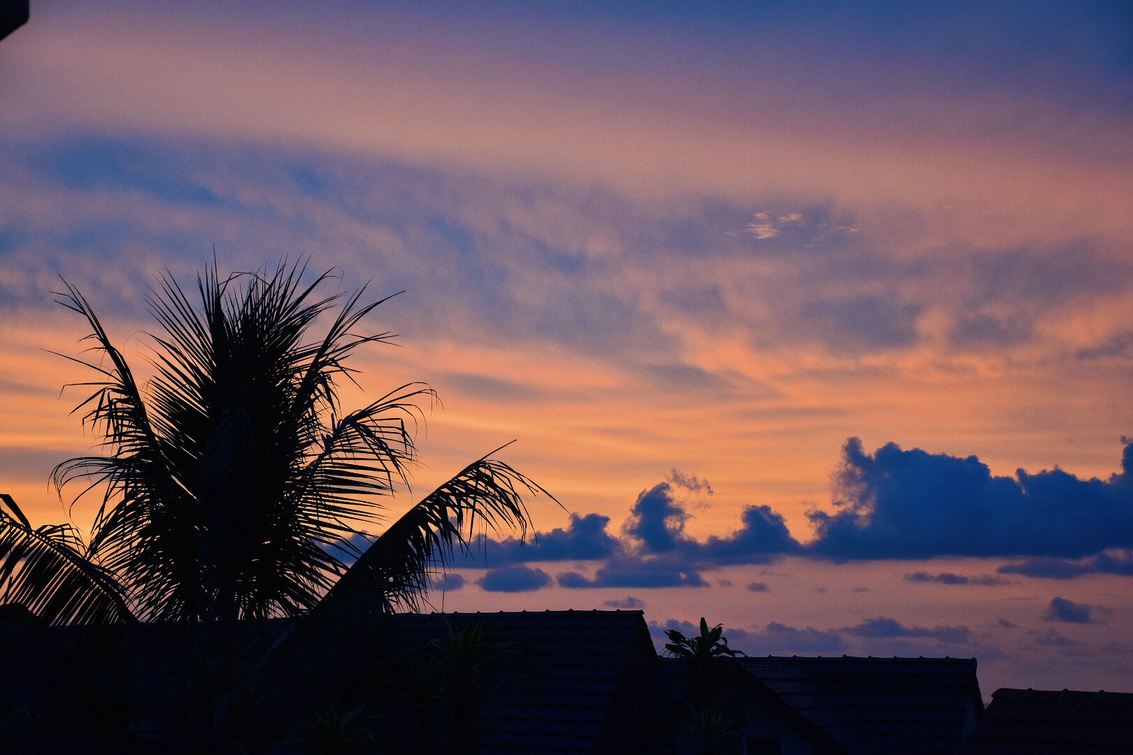 A sunset with silhouettes of palm trees and a thatched-roof building.