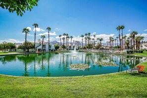 Une piscine bordée de palmiers, une fontaine et un banc.
