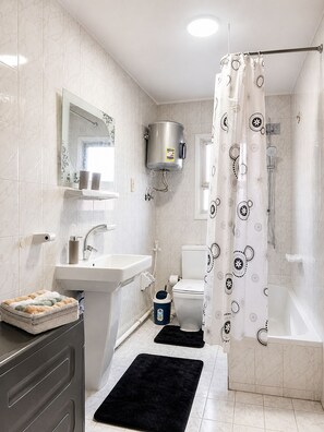 Hair dryer, towels, soap, toilet paper - Spacious Apartment Cairo (Cairo Governorate)