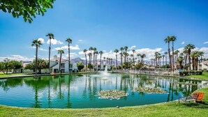 Une piscine bordée de palmiers, une fontaine et un banc.