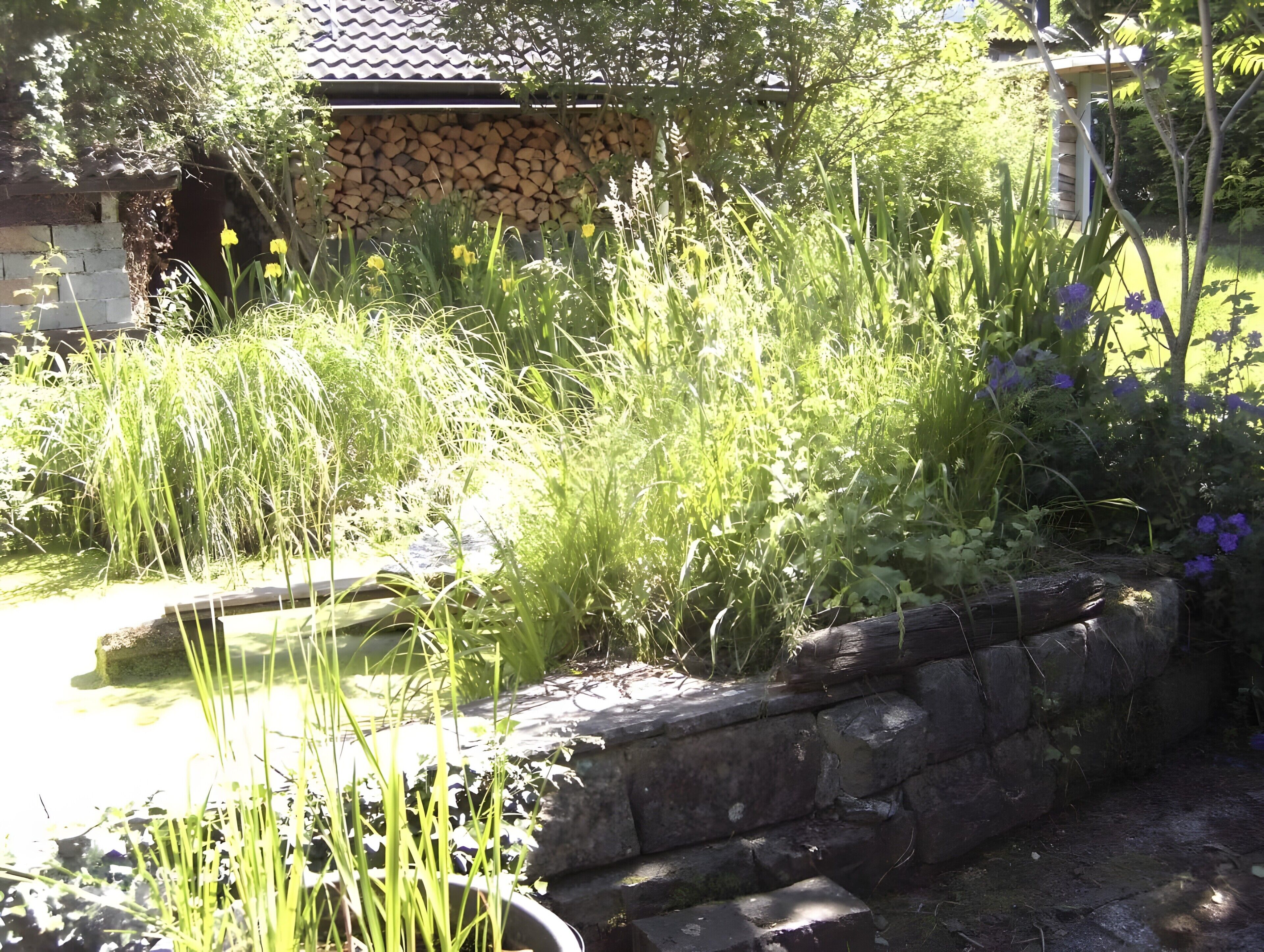 Terrain de l’hébergement 