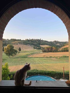 Interior - Green Oasis Tuscany - Pool apartment immersed in nature (San Miniato)