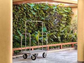 A cart with wheels in front of a wall covered with dense green foliage. - Porto Belo Park (Porto Seguro)