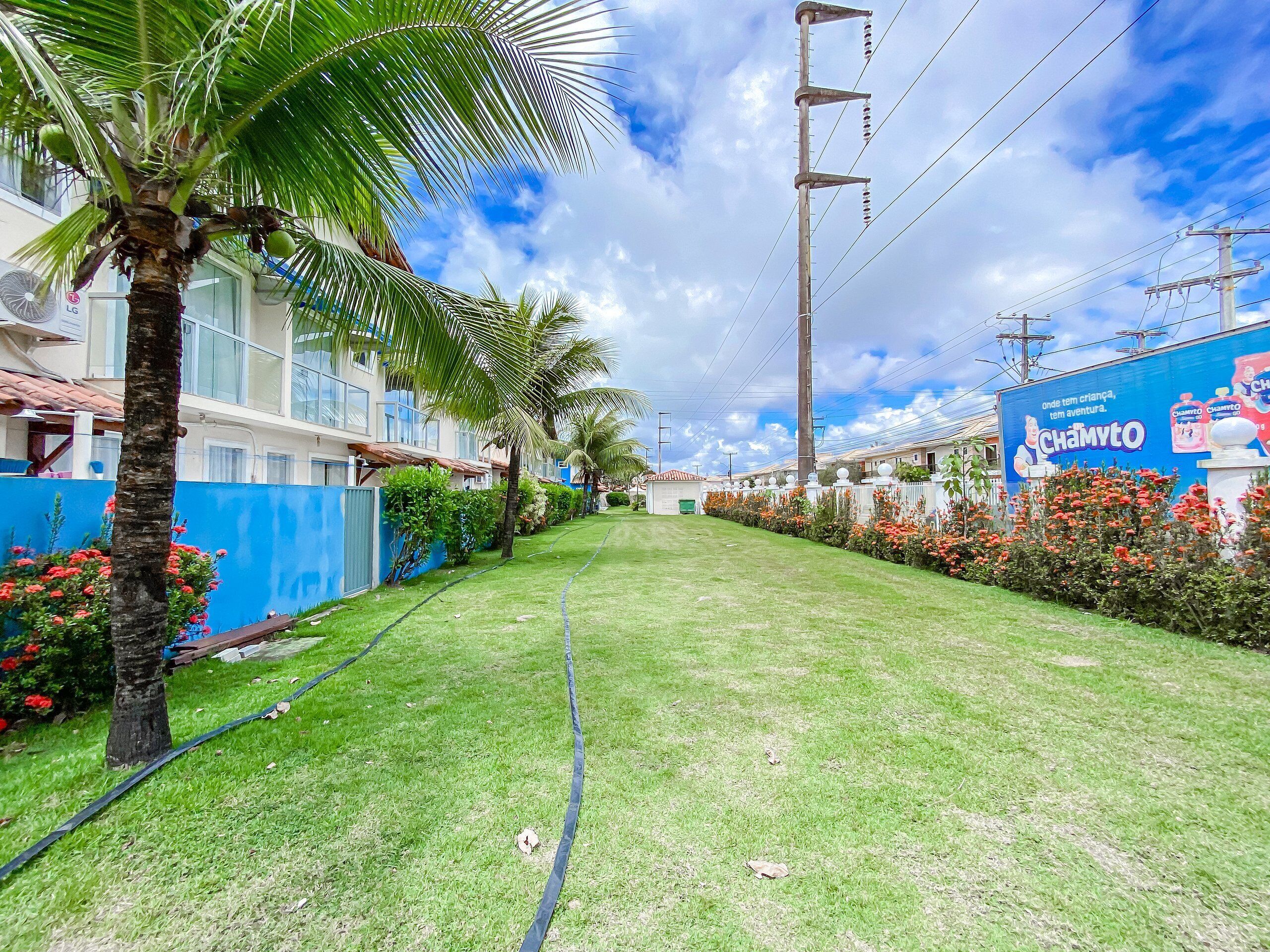 Zona residencial con césped cuidado, palmeras y un cartel grande que anuncia un producto.