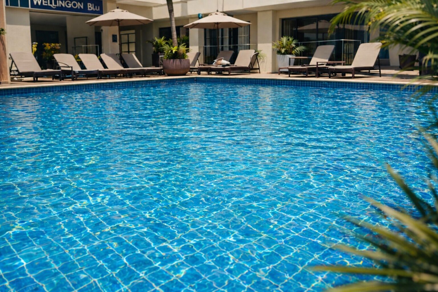 7 outdoor pools