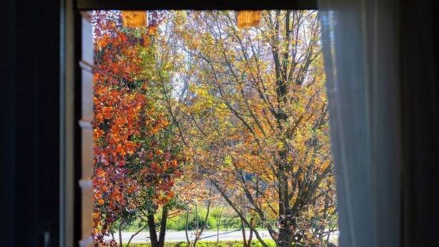 A window with a view of trees in autumn colors.