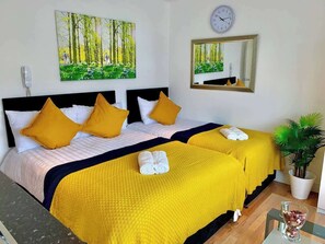 WiFi - Studio flat en-suite, Kitchenette, Parking, NP6 (Newbury Park)