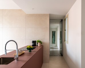 A modern kitchen with a built-in sink, a coffee maker, and a potted plant. - Capo Market View Luxury Apartment (PALERMO)