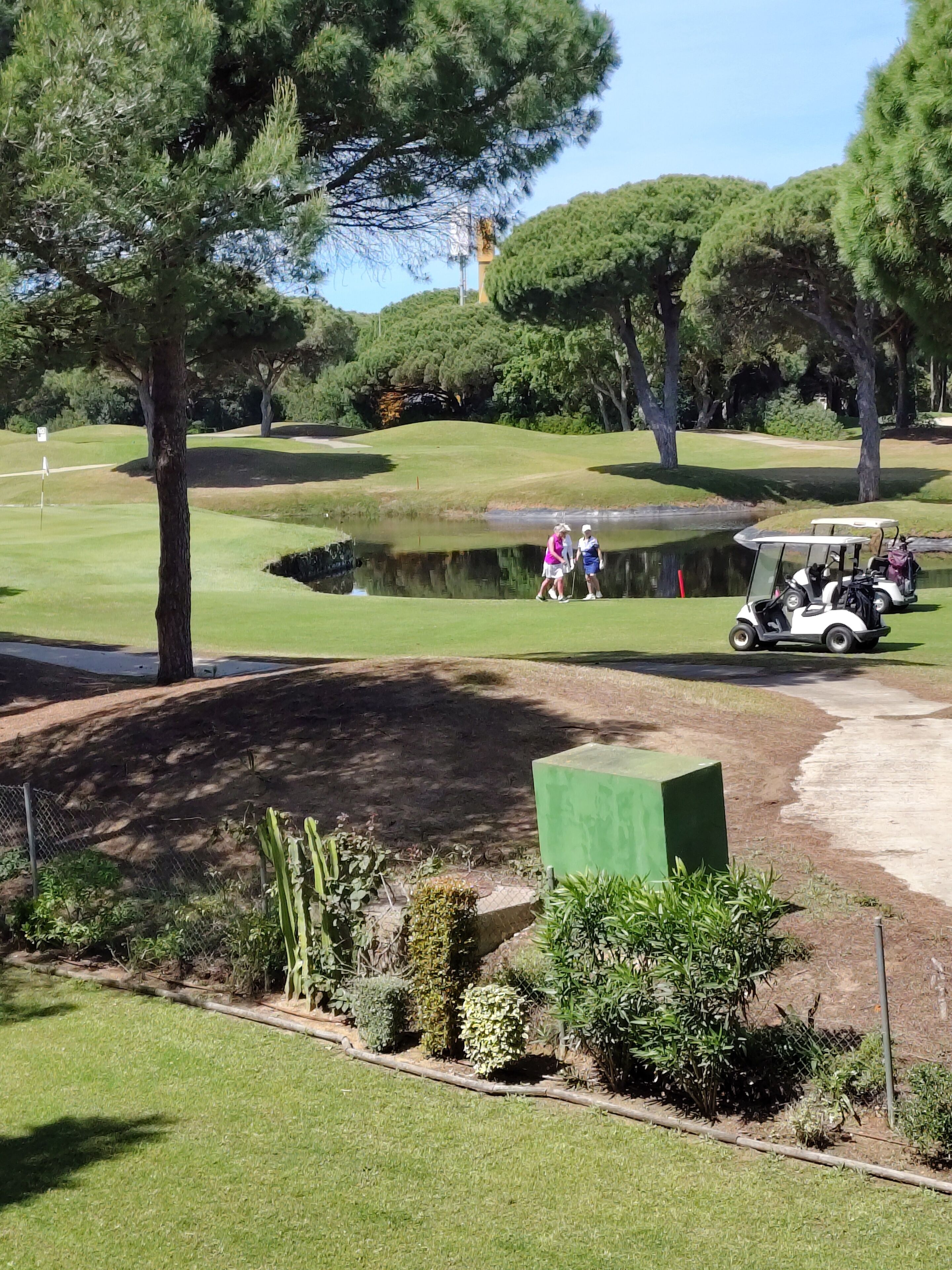Golf