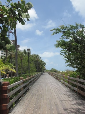 Miscellaneous - 1 BR on Collins Ave. steps away from the BEACH (Miami)