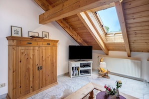 Fernseher