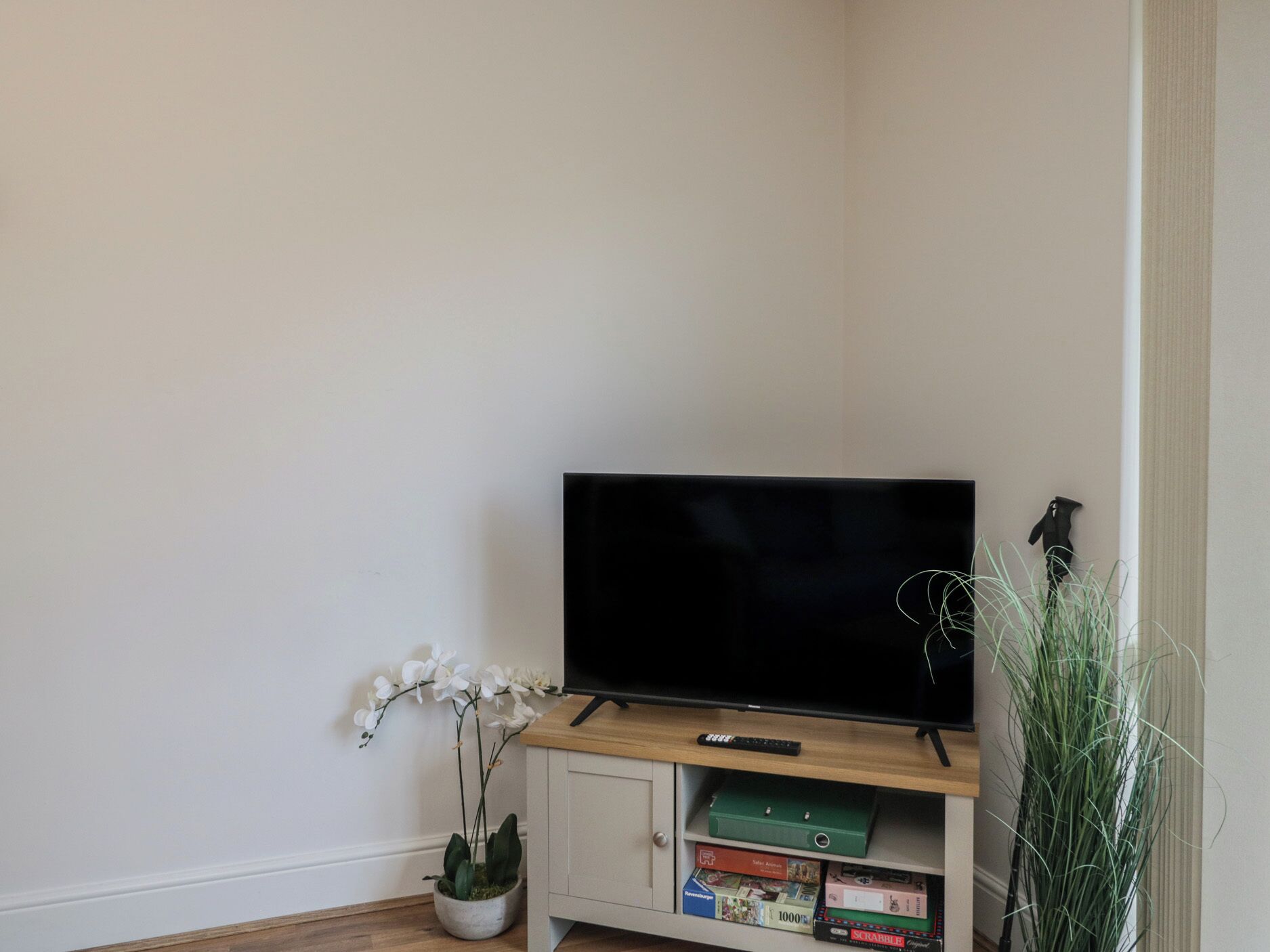 A television on a wooden stand, a potted orchid, and a green box on a shelf.