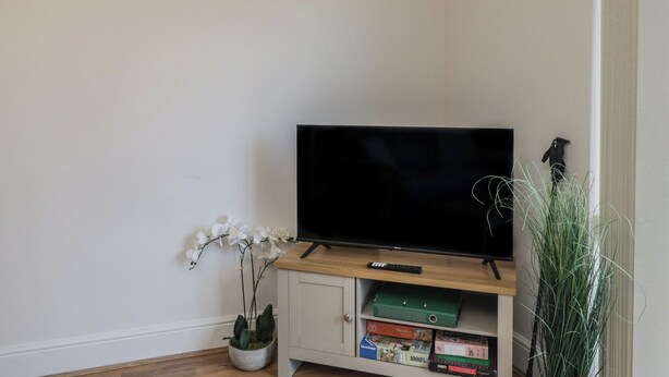 Un téléviseur posé sur un meuble en bois, une orchidée en pot et une boîte verte sur une étagère.