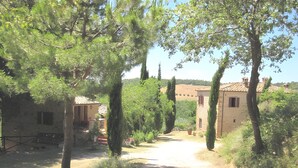 A rural road leading to a stone building with a tiled roof, surrounded by trees and vegetation.