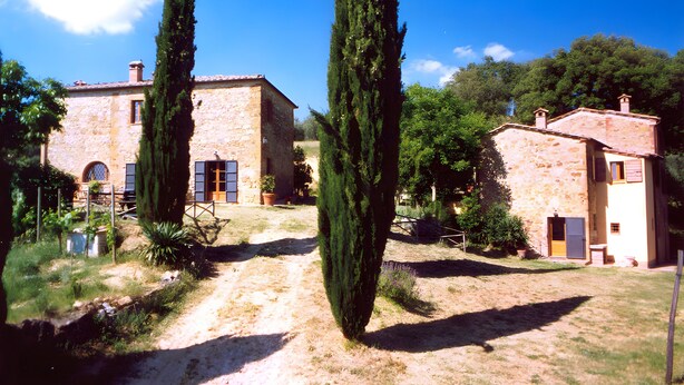 A stone building with a dirt path leading to it, surrounded by greenery and trees.