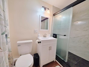 Hair dryer, towels, soap, shampoo