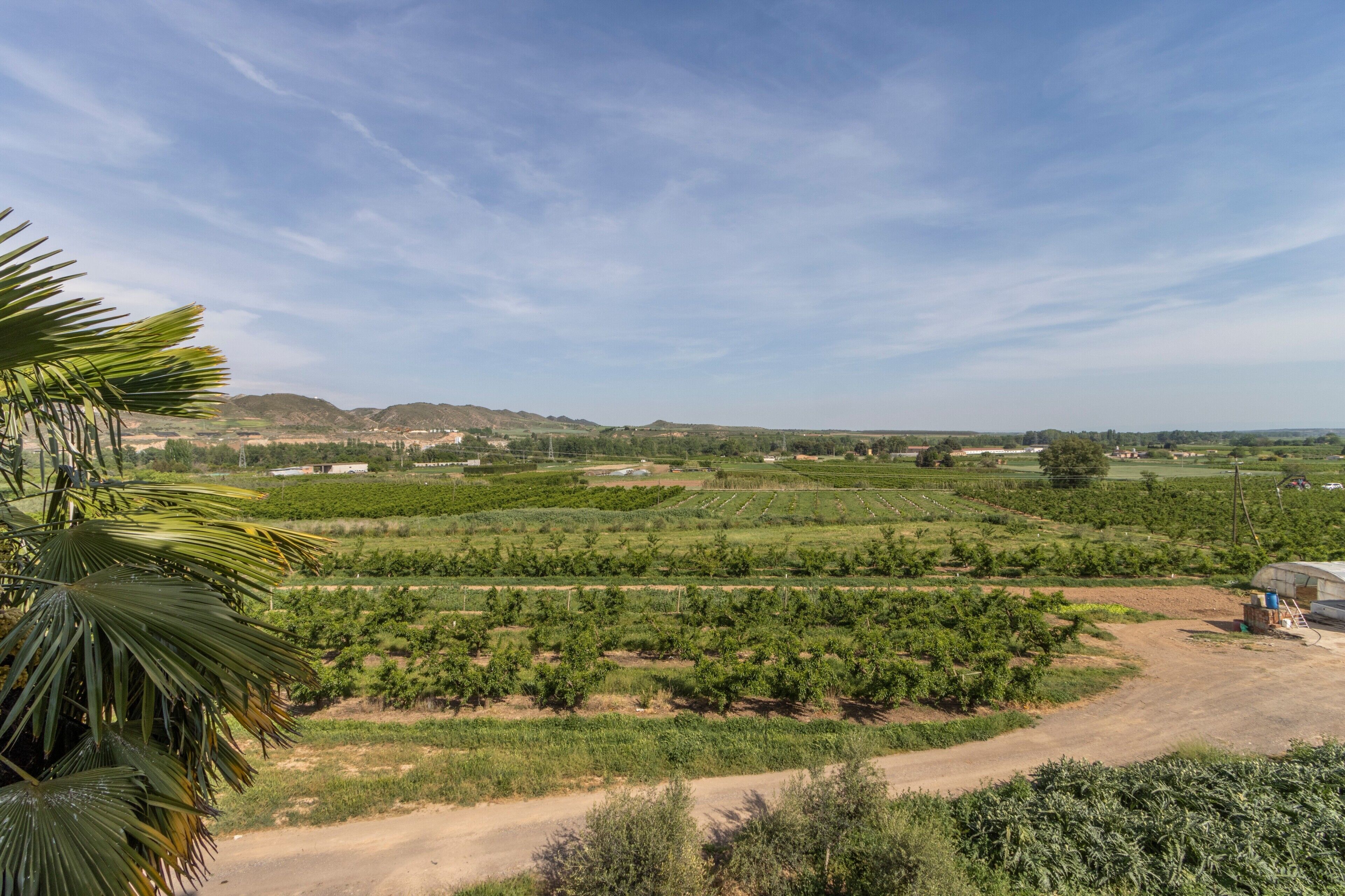 Ländliche Landschaft mit Ackerfeldern und blauem Himmel.