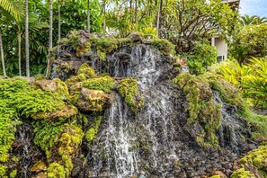 Une cascade d’eau se déversant sur une formation rocheuse recouverte de mousse, le tout étant entouré d’une végétation tropicale.