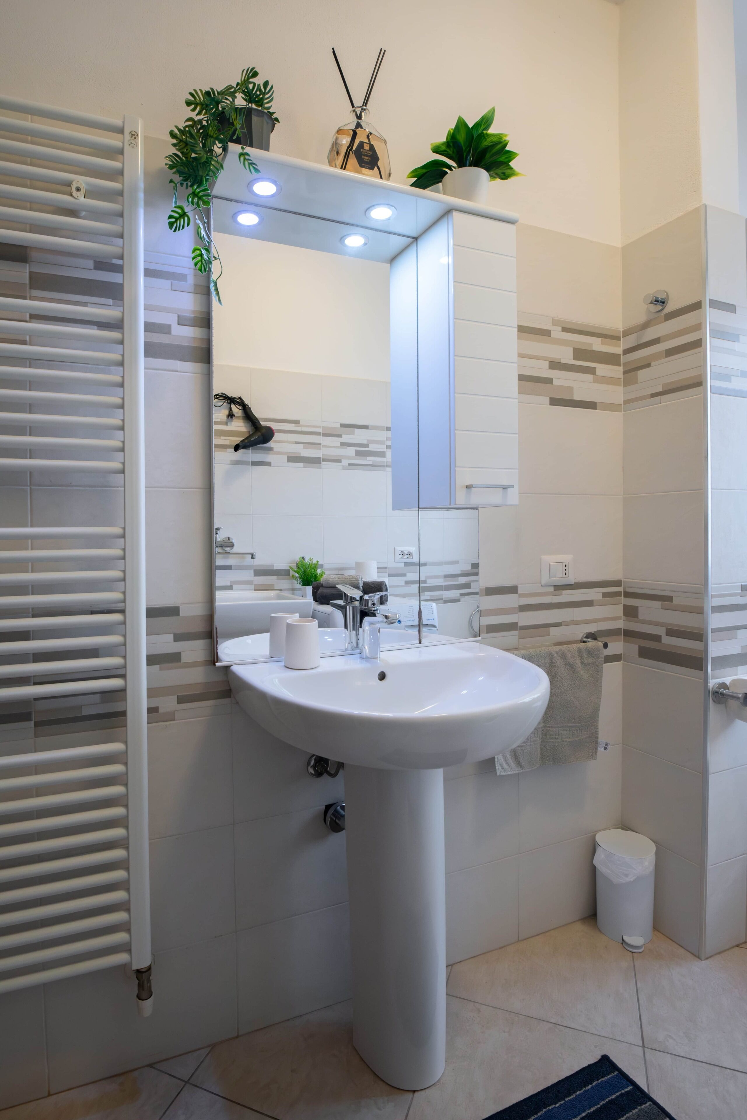 Baño con lavamanos blanco, espejo y toallero. Hay dos plantas en macetas sobre el espejo.