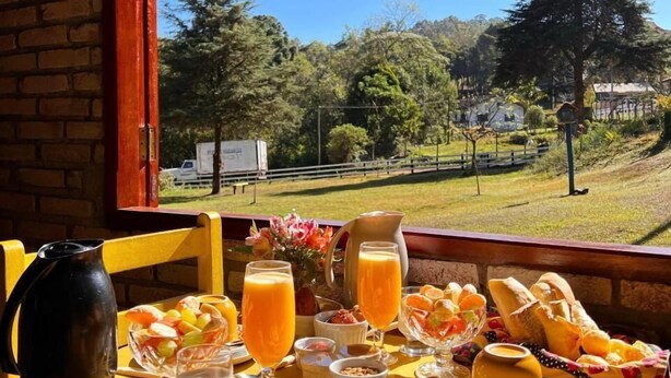 Uma mesa de café da manhã com diversos alimentos e bebidas, um jarro e vista para uma área gramada com árvores e um edifício ao fundo.
