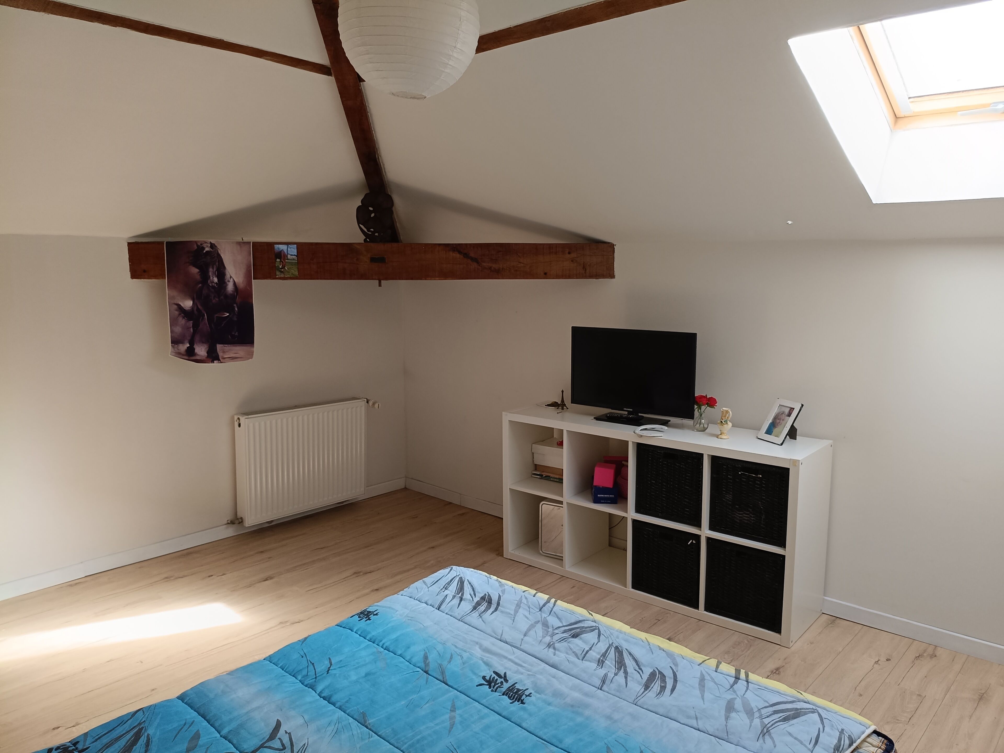 Une pièce avec un plafond en pente, un puits de lumière, un lit, un téléviseur posé sur un meuble blanc, un radiateur et une étagère contenant divers objets.