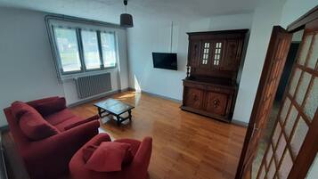 Fernseher, Stereoanlage