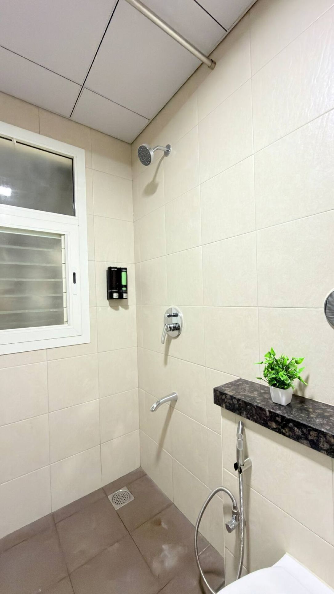 A bathroom with a shower, a window, a sink, and a potted plant.