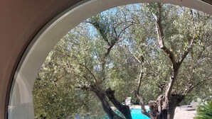 A view through a window of a pool area with a tree and lounge chairs. - Haven of peace in a villa with pool (Antibes)