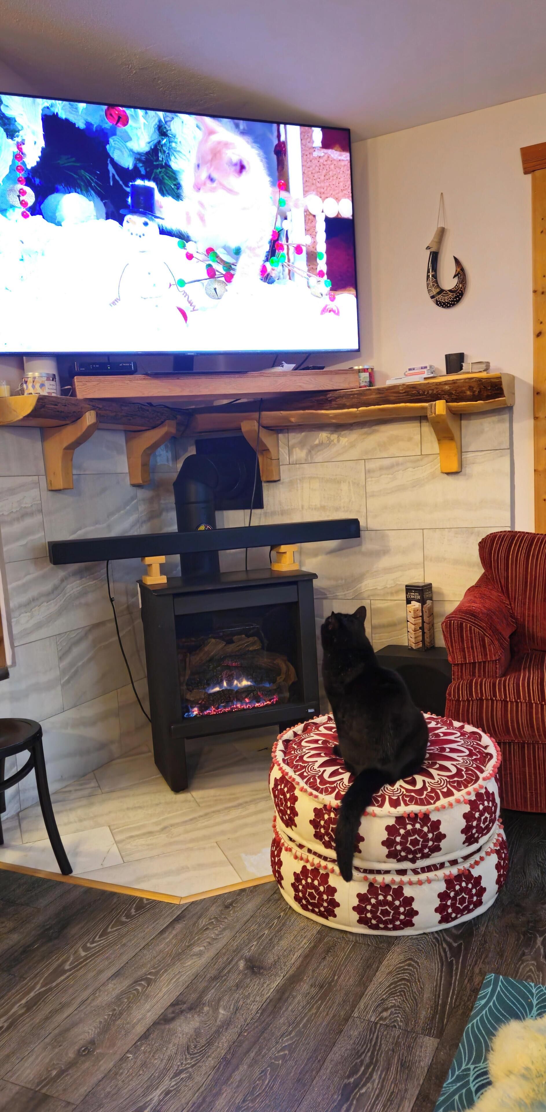 A living room with a TV, a fireplace, a cat on a decorative stool, and a red chair.