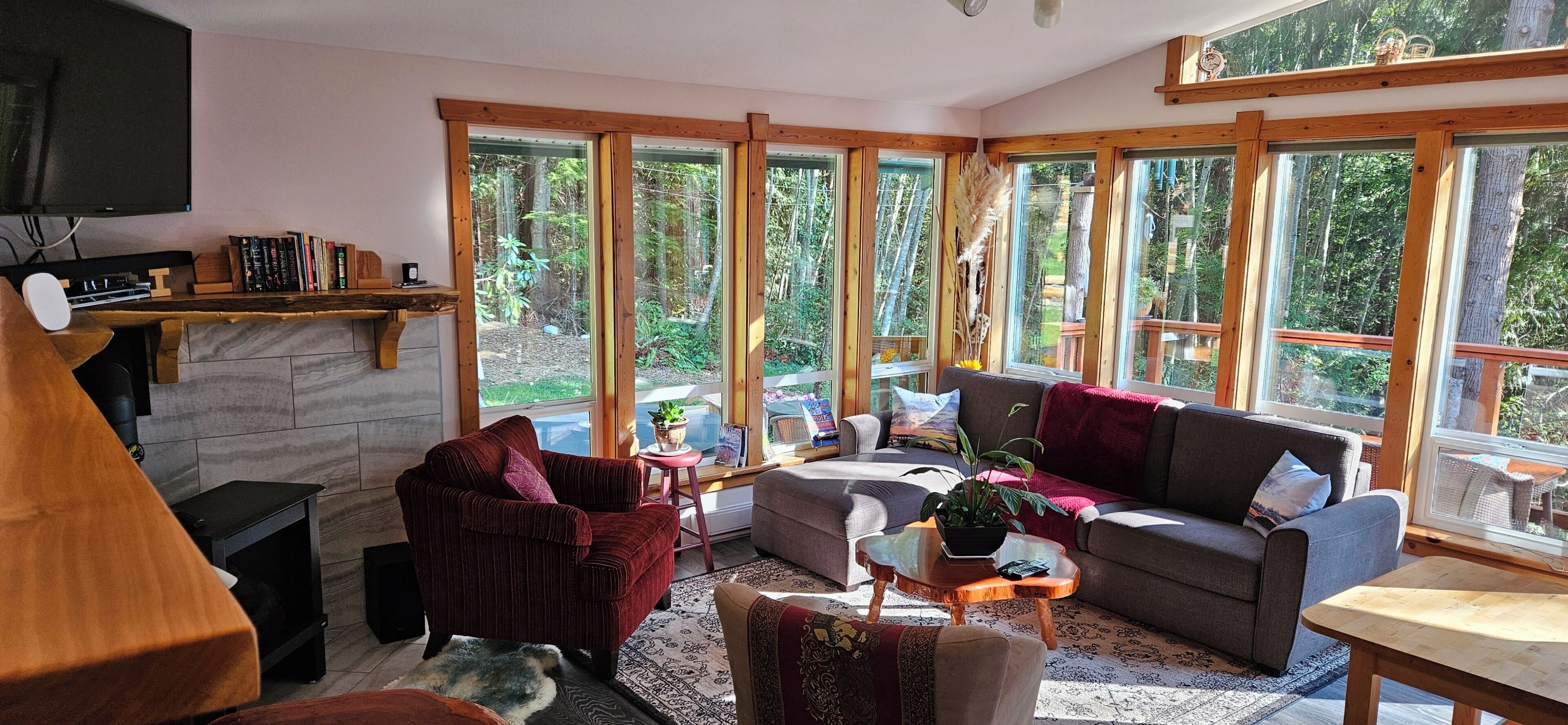 Smart TV, fireplace, DVD player, books