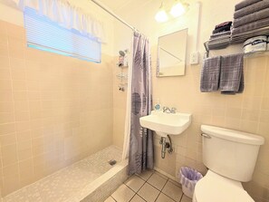 Douche, sèche-cheveux, serviettes fournies