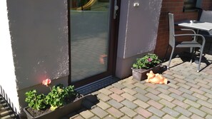 Outdoor dining - Modern Apartment for 2 Guests (35 m²) in Bad Eilsen (Bad Eilsen)