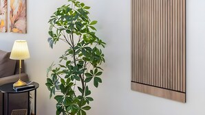Una habitación con una planta en maceta, un letrero en la pared que dice 'HAPPY PLACE', una lámpara y una obra de arte enmarcada.