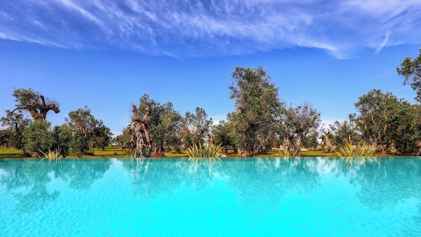 Klares Schwimmbecken mit Spiegelung von Bäumen und Himmel.